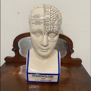 Phrenology by L. N. Fowler porcelain head